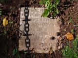 image of grave number 855221